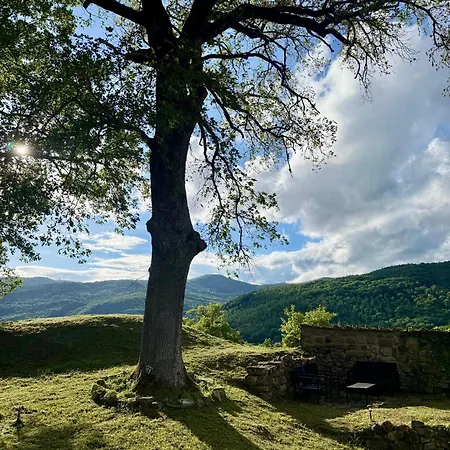 La Corte Di Ranco Villa Arezzo